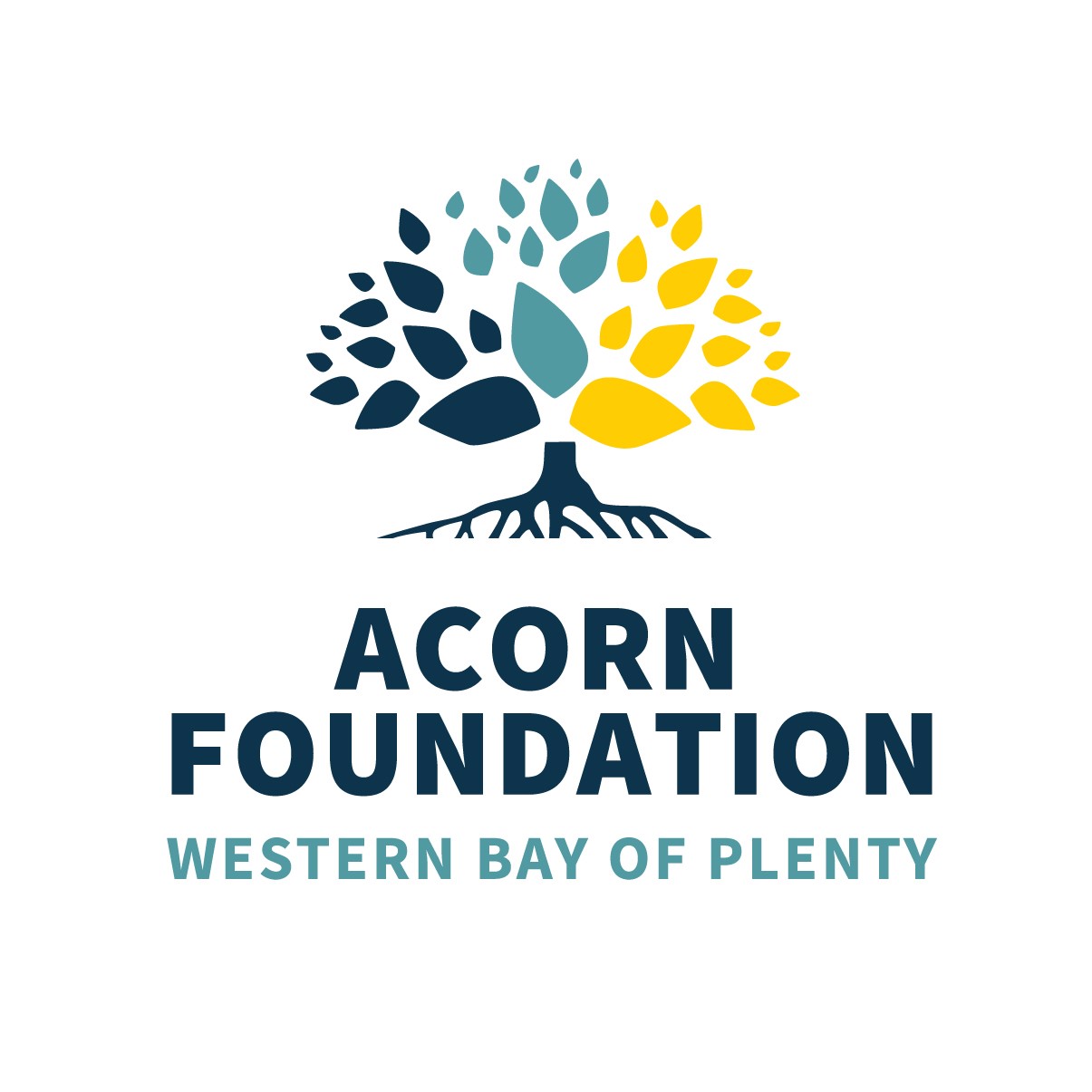Primary Acorn Logo on white background