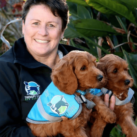 Therapy Dogs NZ