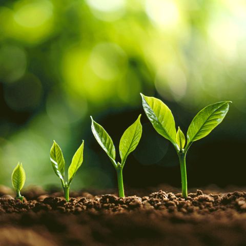 Learn more about our investment approach