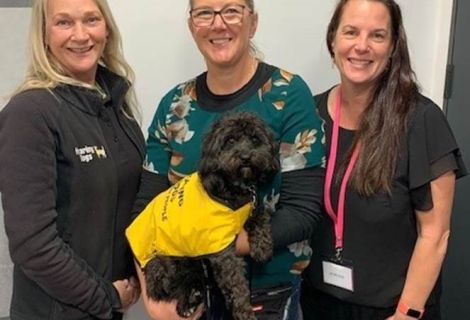 Hearing Dogs for Deaf People: Rina – Tauranga’s Newest Hearing Dog