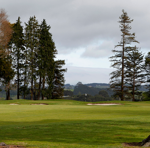 Tauranga Golf Club