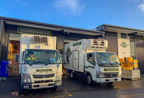 Community Centres: The Beating Hearts of Western Bay of Plenty