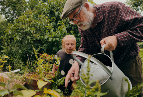 It’s Wills Month In September – A Beginner’s Guide to Endowment Giving