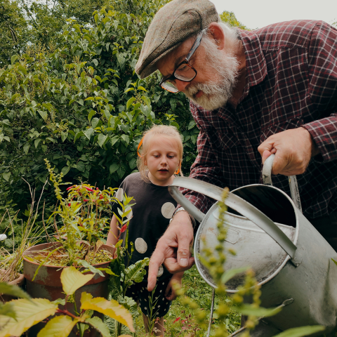 It’s Wills Month In September – A Beginner’s Guide to Endowment Giving