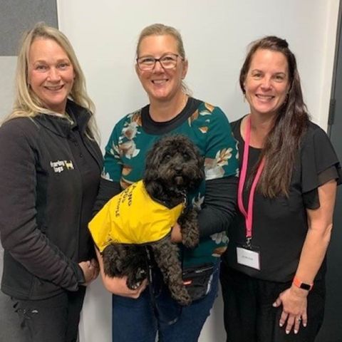 Hearing Dogs for Deaf People NZ