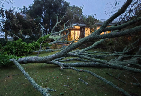 BOP Rural Support Trust Supporting Western Bay Communities After Severe Weather Event