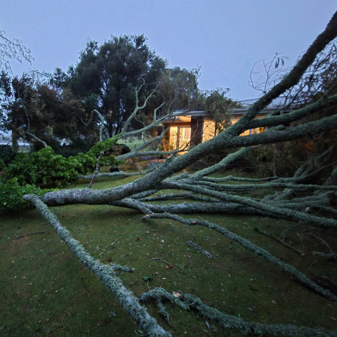BOP Rural Support Trust Supporting Western Bay Communities After Severe Weather Event
