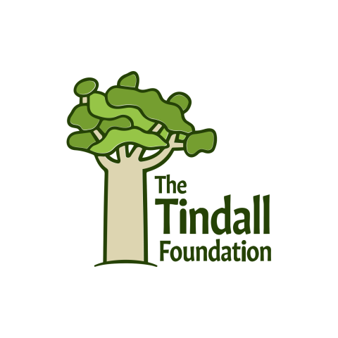 Tindall Foundation Funding