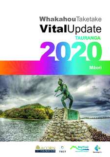 Vital Update Tauranga 2020 – Priority Group Report – Māori
